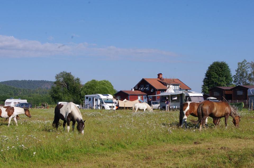 Sun Dance Ranch Ekshärad Exterior foto